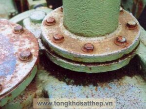 bich thep rong dn400 4